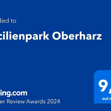 Cecilienpark Oberharz Villa Goslar Eksteriør bilde