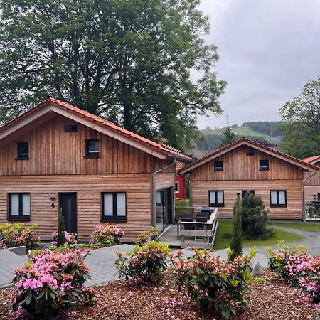 Cecilienpark Oberharz Villa Goslar Eksteriør bilde