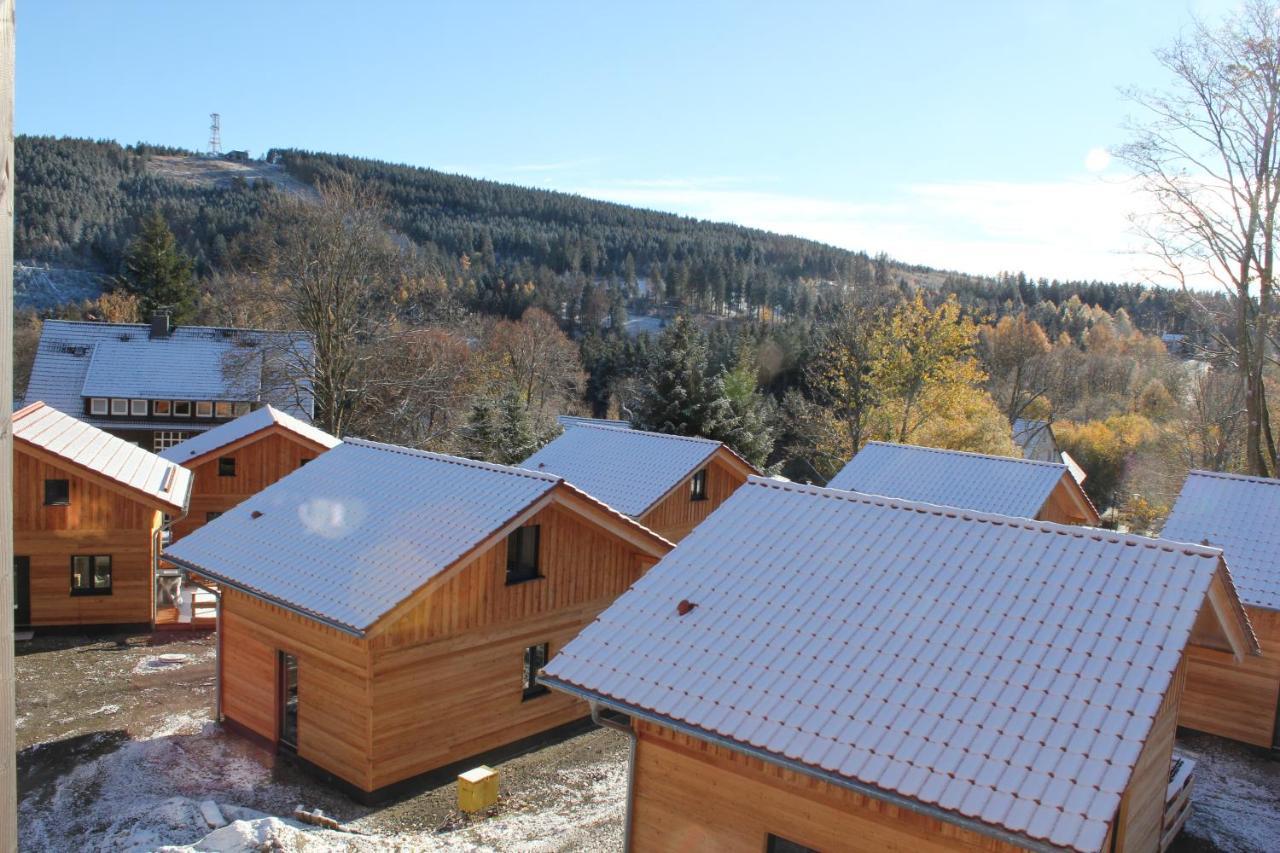 Cecilienpark Oberharz Villa Goslar Eksteriør bilde