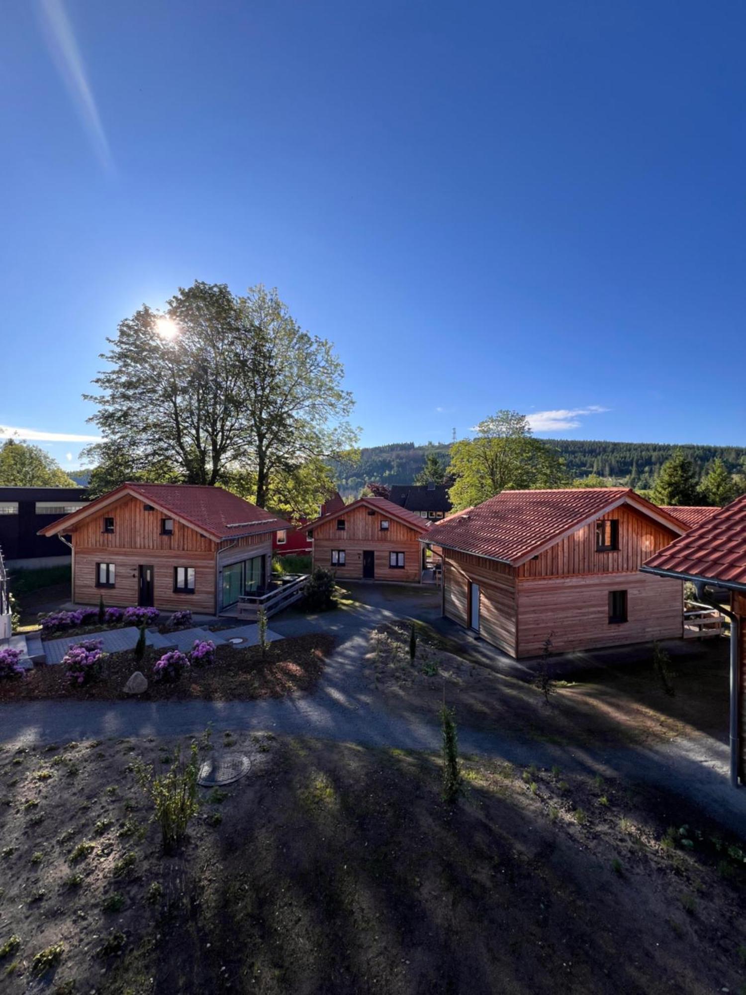 Cecilienpark Oberharz Villa Goslar Eksteriør bilde