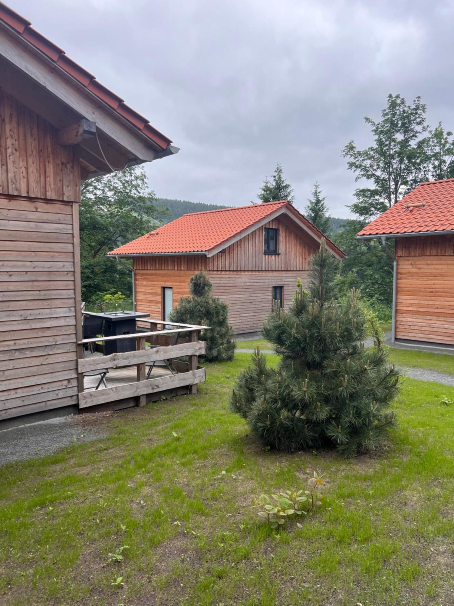 Cecilienpark Oberharz Villa Goslar Eksteriør bilde