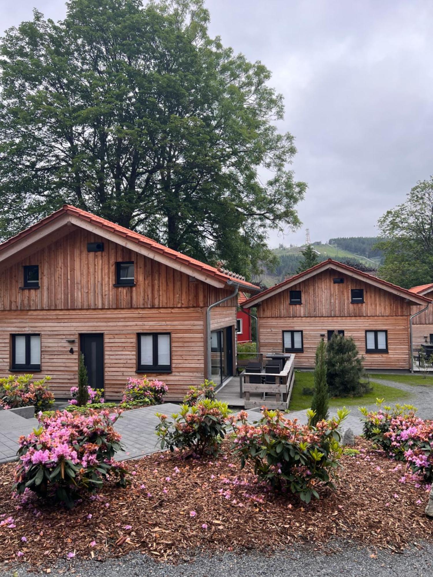 Cecilienpark Oberharz Villa Goslar Eksteriør bilde